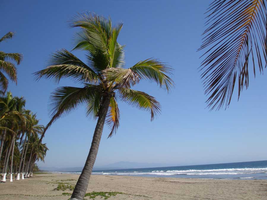 Sun, walk, run, ride on more than 5 miles of tropical beach